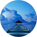 Gabrielė Toliušytė profile picture